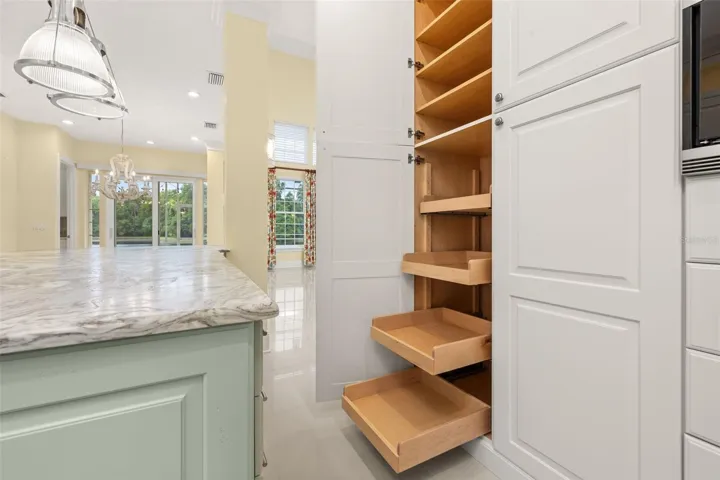 Pull Out Panty Cabinets