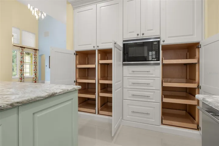 Pull Out Panty Cabinets