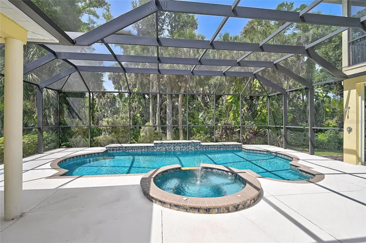 Swimming pool & spa