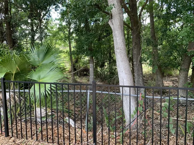 Conservation View