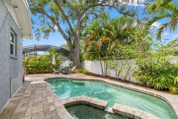 Pool / Back Exterior