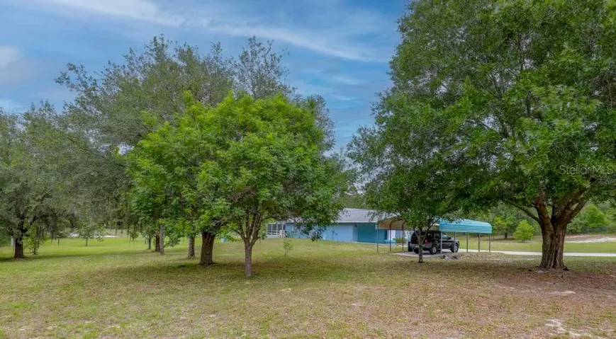 Acreage/Pasture