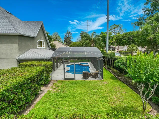 Backyard view of the pool