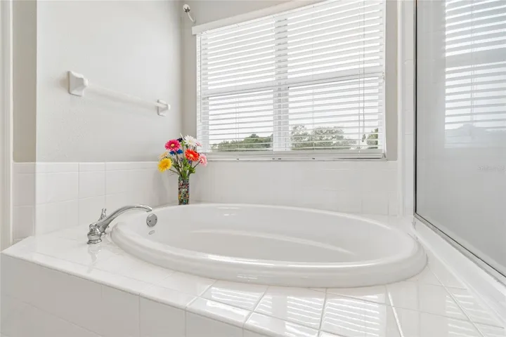 Tub Separate huge shower