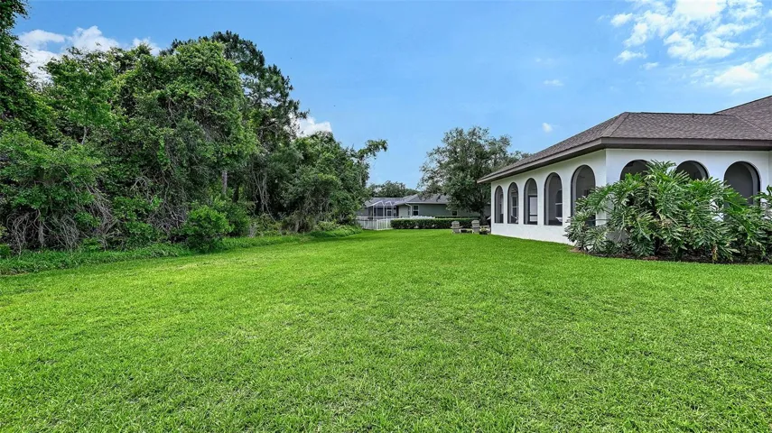 back yard