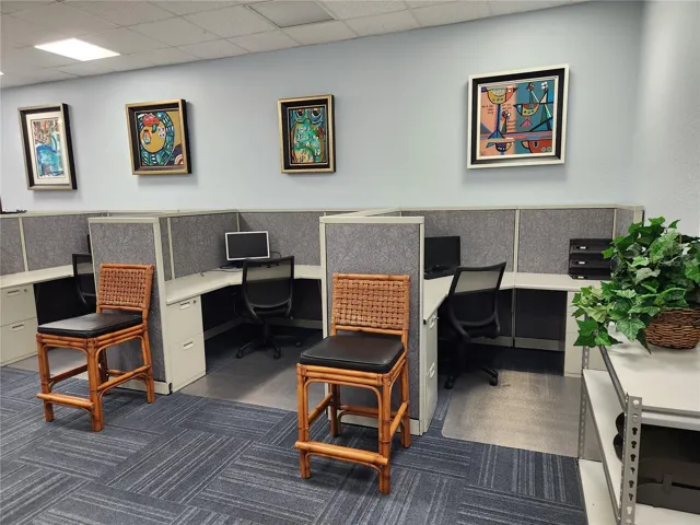Back workstations