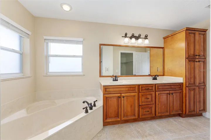 dual sinks