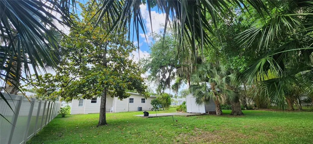 backyard east side