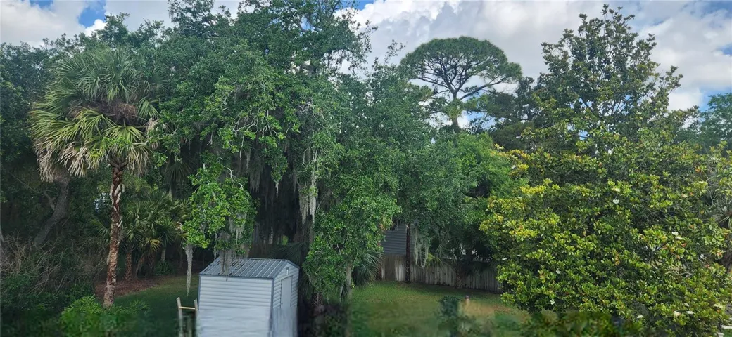 backyard from roof