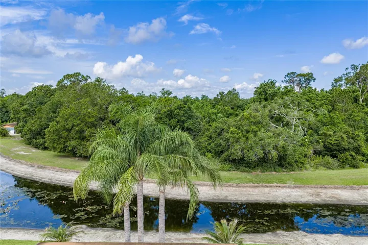 Pond behind house