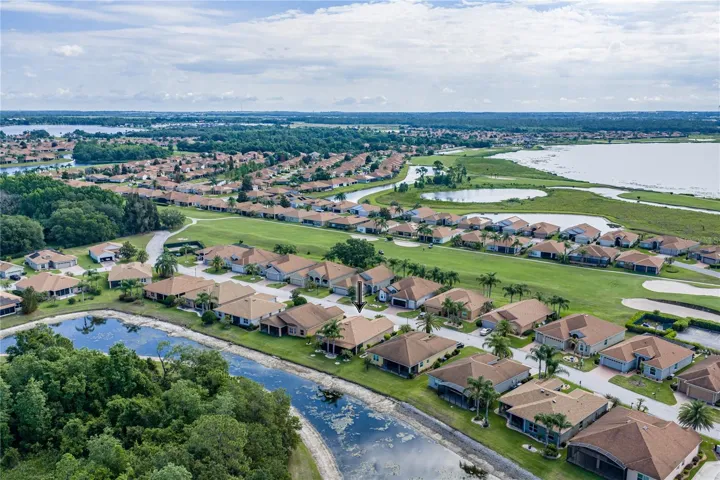 Neighborhood drone view