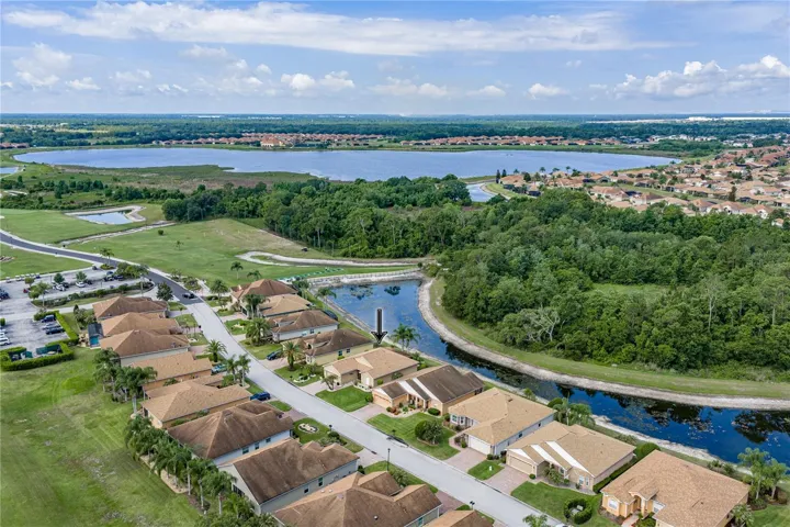 Neighborhood drone view