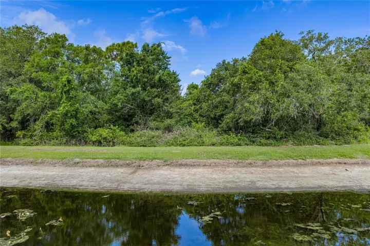 Pond behind house
