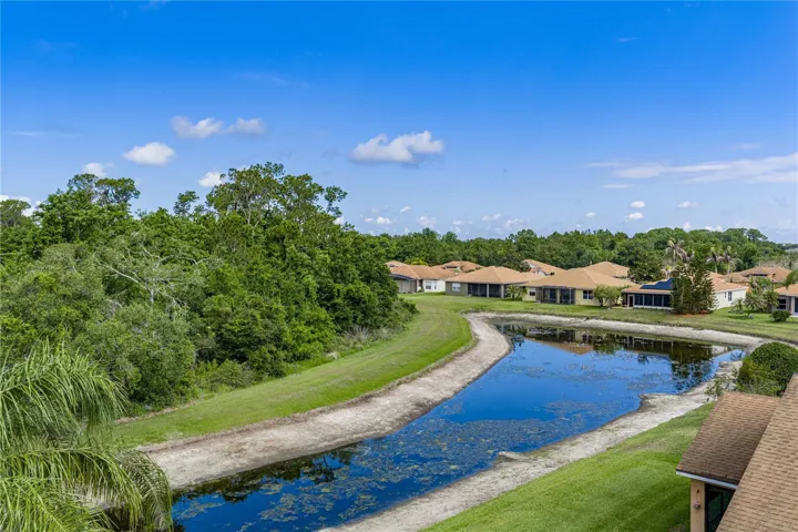 Pond behind house