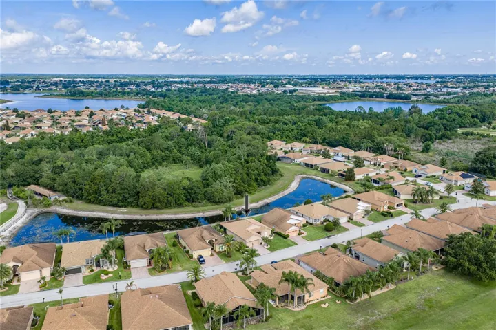 Neighborhood drone view