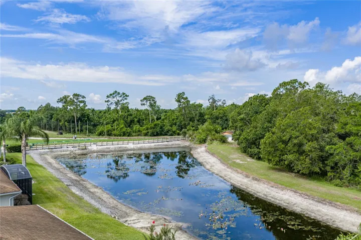Pond behind house
