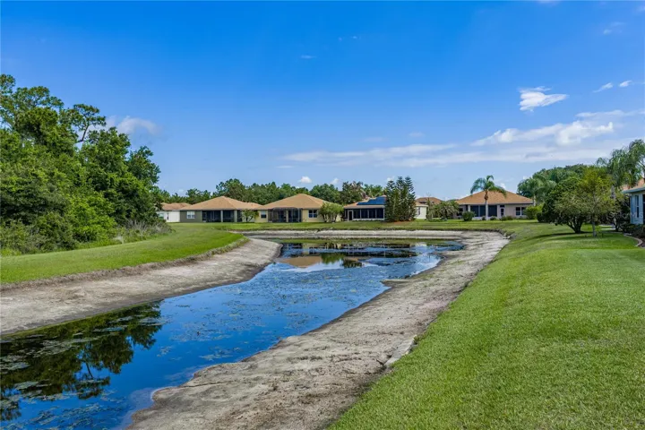 Pond behind house