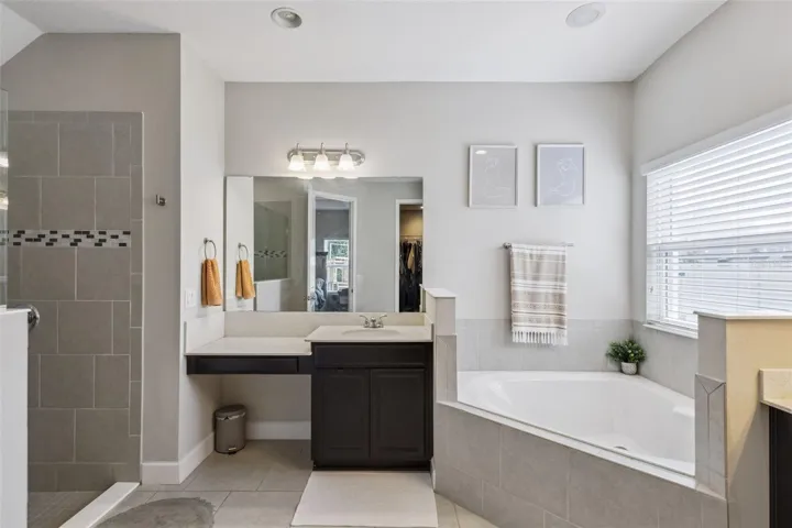 Downstairs Master Bathroom