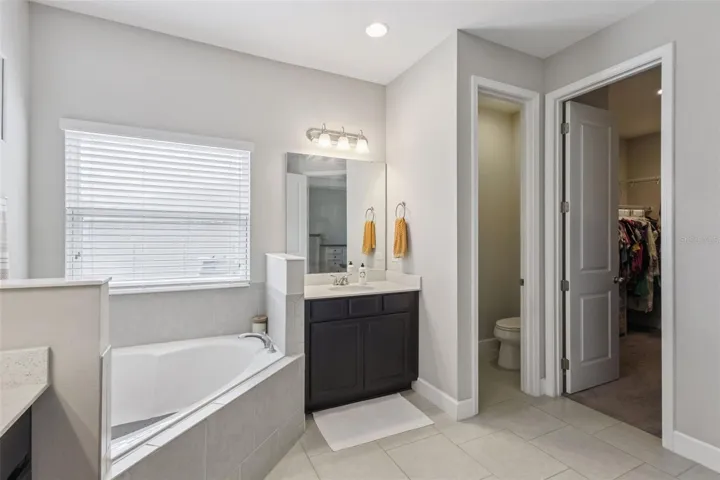 Downstairs Master Bathroom