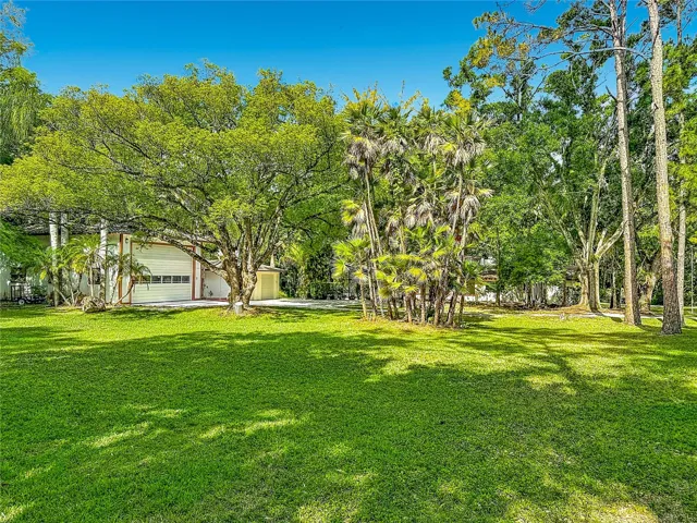 2065 Brady large side yard east side pf property