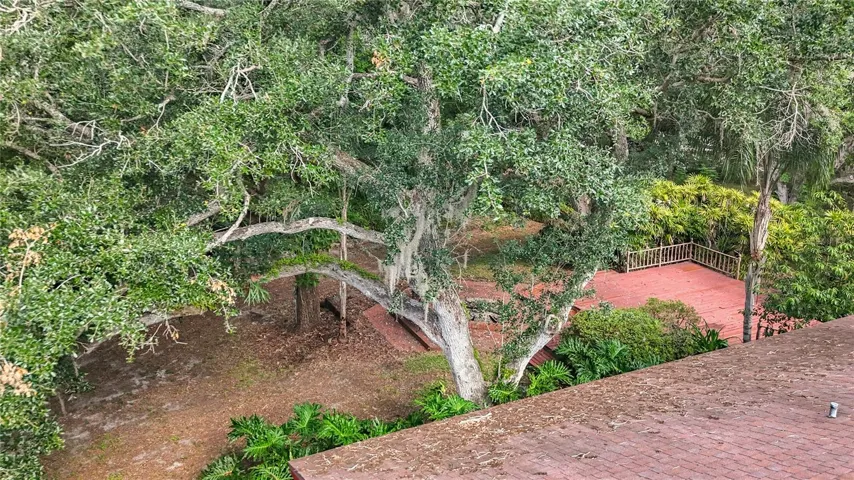 Aerial of Deck, Fire Pit & Creek