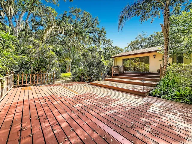 Expansive Deck