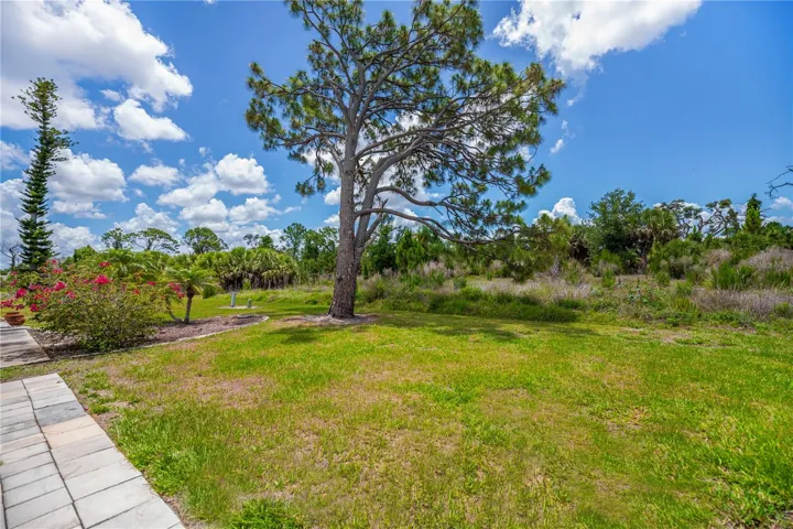Great green space behind unit