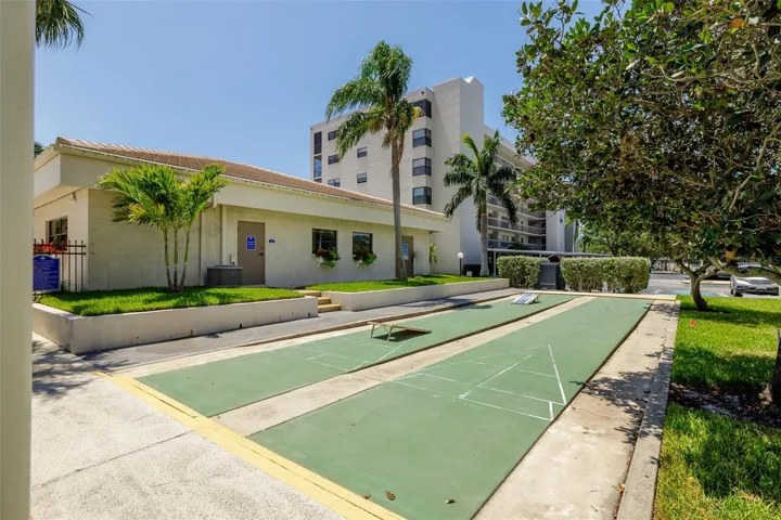 Shuffleboard