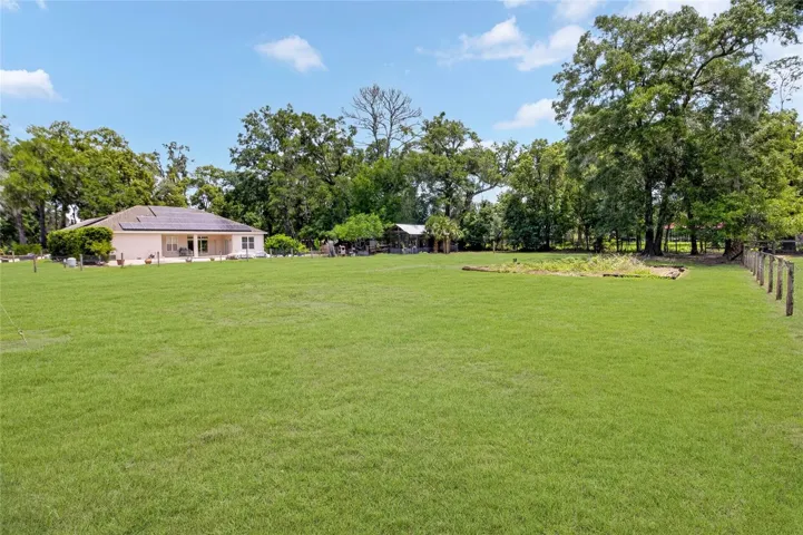 Rear Field