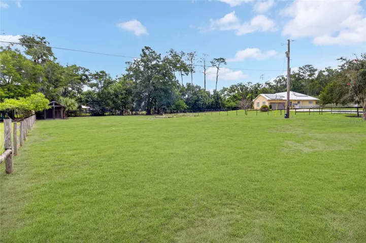 Rear Field