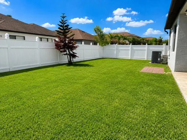 Beautiful, fenced in back yard.
