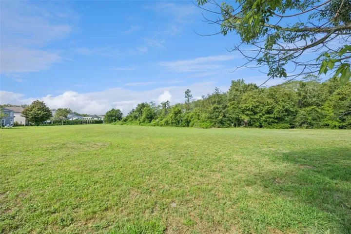 Closer View of Green Space and Conservation.