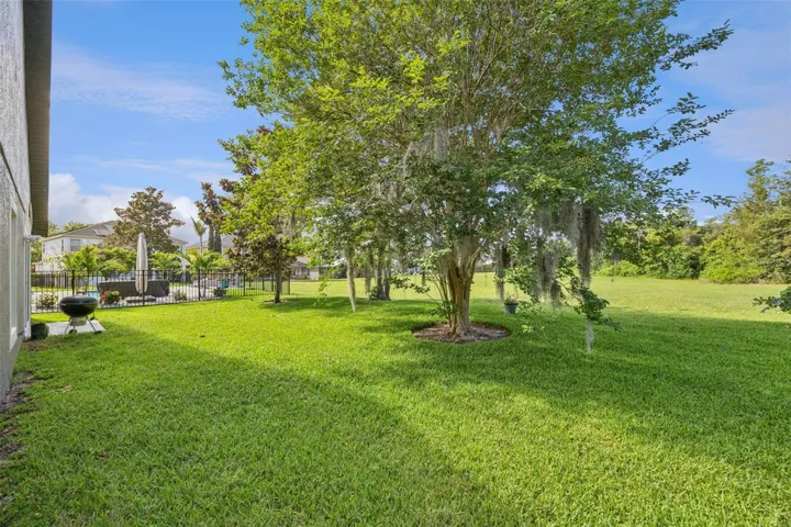 Open Green Area Extends the Backyard.