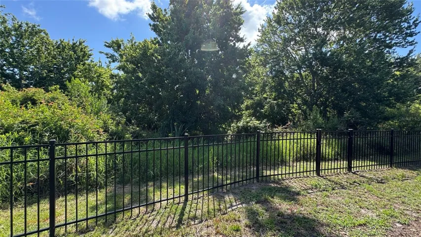 Back yard