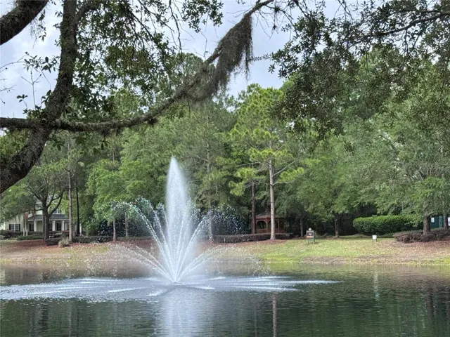 Gazebo and fountain.
