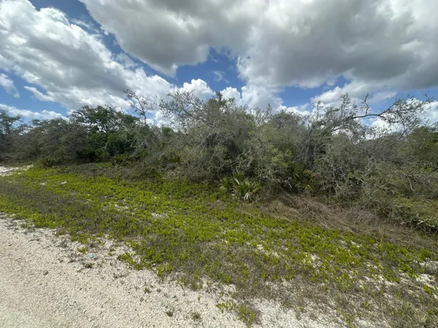 Front of Lot