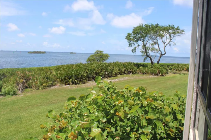 View from outside Florida Room