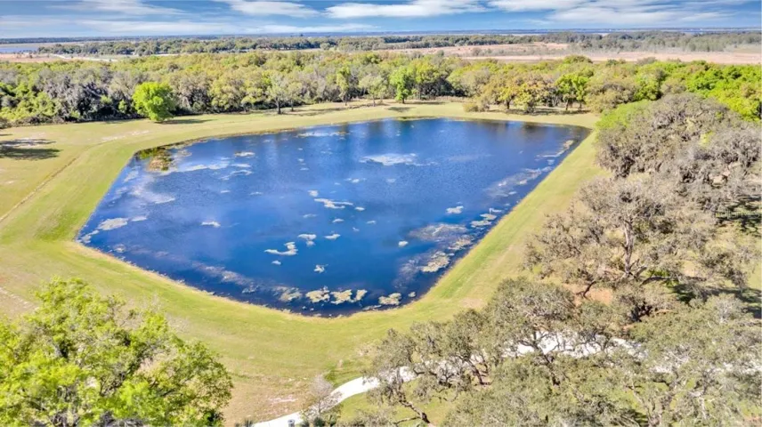 Pond