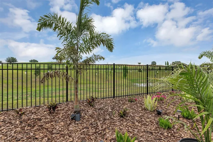 Fenced yard