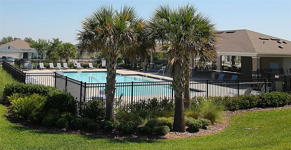 Pool and Cabana