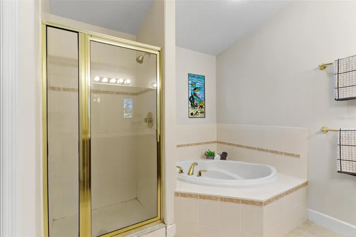 Walk-In Shower/Garden Tub