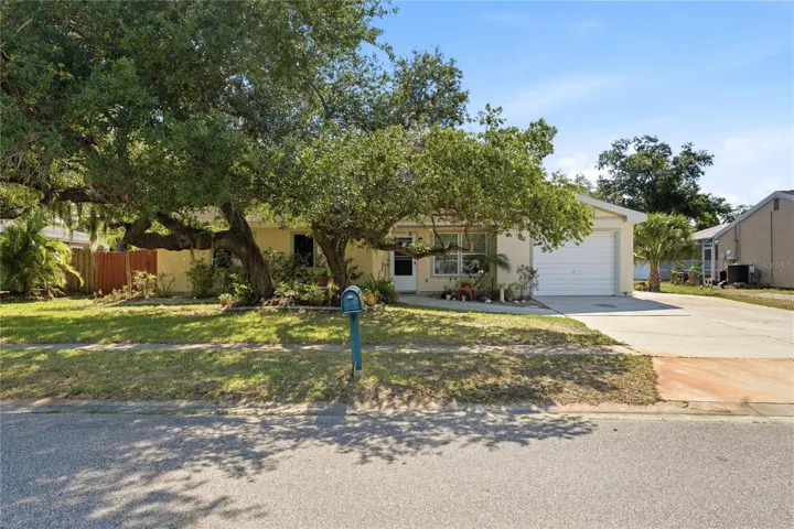 Wonderful shade tree in front!
