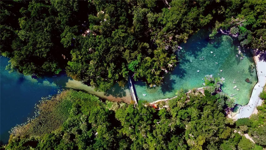 Wekiwa Springs State Park