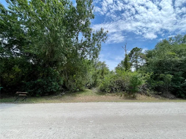 Front of the lot