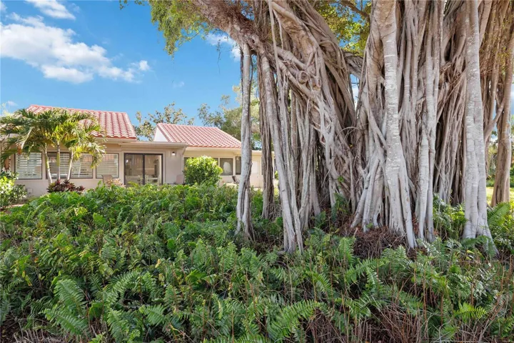 Lush tropical landscaping and mature banyan trees create a peaceful island-inspired setting.