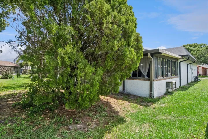 Privacy with natural trees to keep the back patio cool.