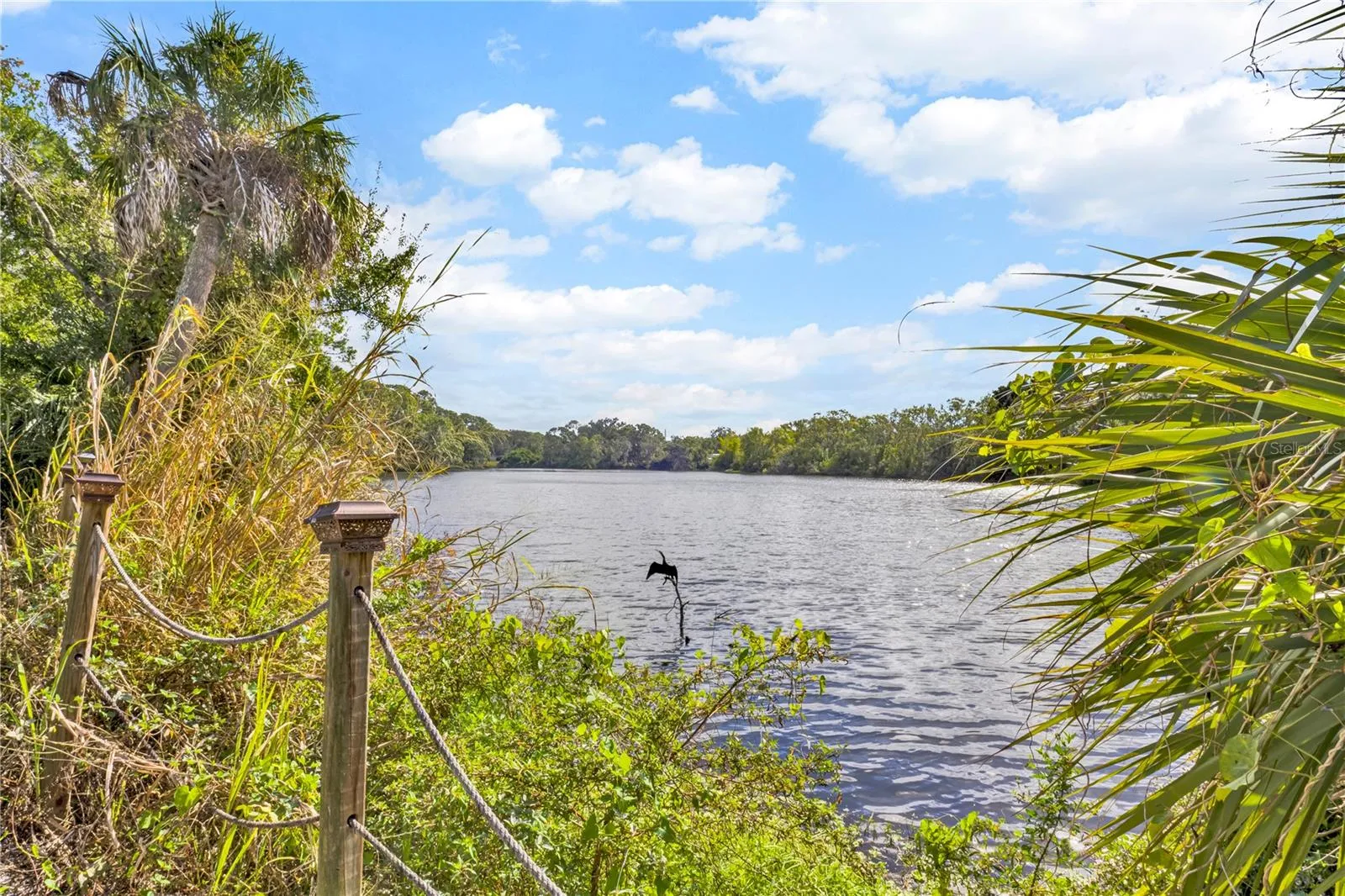 Longwood villa area