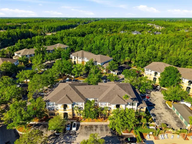 Gorgeous Tampa Palms Community