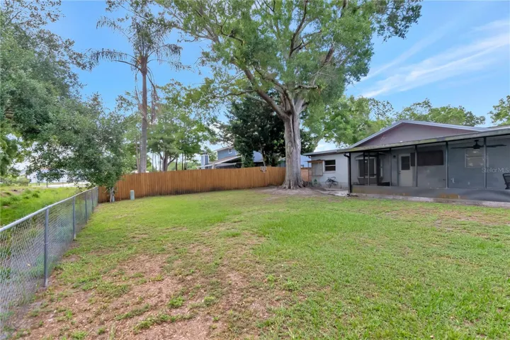 Wide Open Backyard