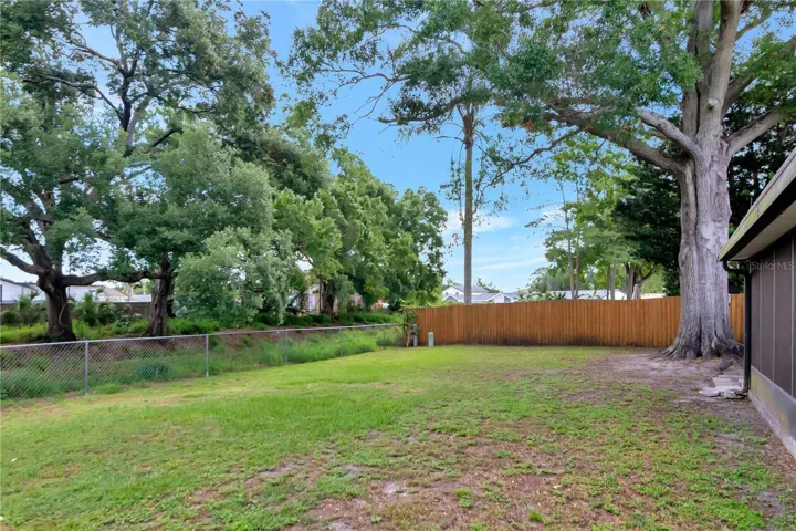 Wide Open Backyard